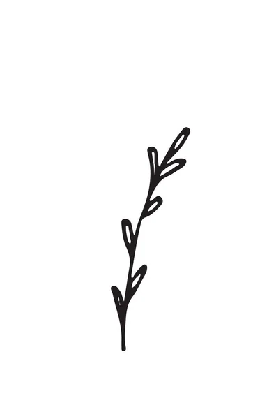 Handgezeichnete Skizze einer Pflanze, isoliert auf weißem Hintergrund — Stockvektor