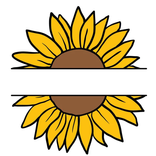 Imagen vectorial de girasoles dibujados a mano — Vector de stock