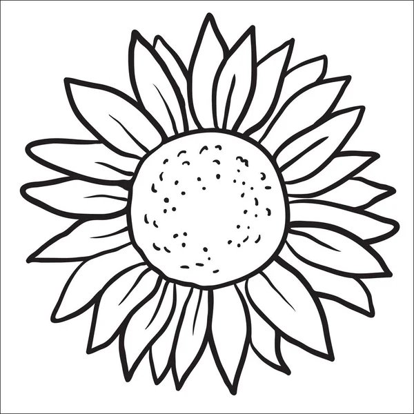 Immagine vettoriale di girasoli disegnati a mano — Vettoriale Stock