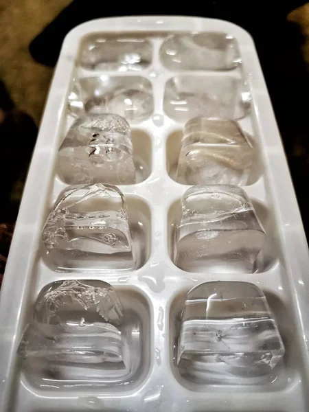 CUBES DE GLACE DANS LONG TRAY — Photo