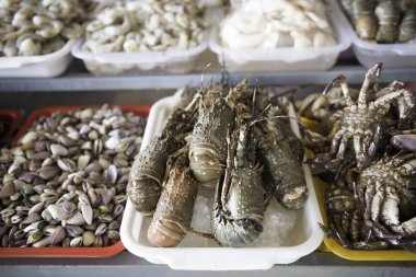 İstiridye, midye, karides, ahtapot ve diğer taze deniz ürünleri satışı.