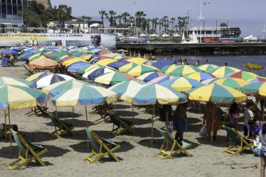 Kumlu sahilüzerinde birçok yeşil şemsiye.