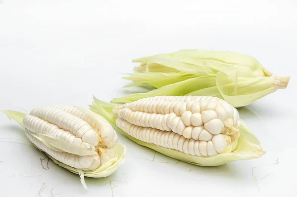 Choclo, maíz blanco gigante. Sobre un fondo blanco — Foto de Stock