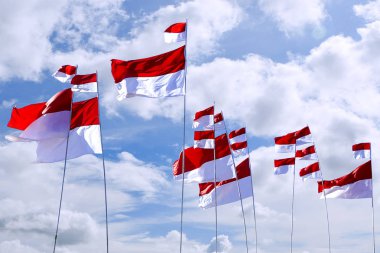 Endonezya bayrağı, Merah Putih Endonezya bağımsızlık gününde