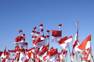 Endonezya bayrağı, Merah Putih Endonezya bağımsızlık gününde
