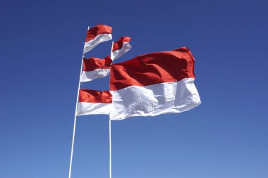 Endonezya bayrağı, Merah Putih Endonezya bağımsızlık gününde