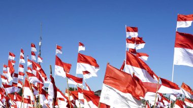 Endonezya bayrağı, Merah Putih Endonezya bağımsızlık gününde