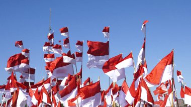 Endonezya bayrağı, Merah Putih Endonezya bağımsızlık gününde