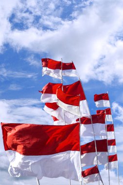 Endonezya bayrağı, Merah Putih Endonezya bağımsızlık gününde