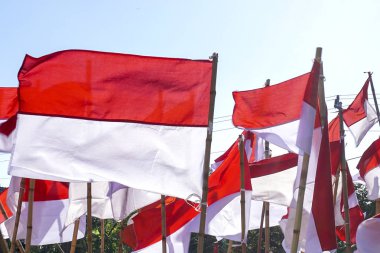 Endonezya bayrağı, Merah Putih Endonezya bağımsızlık gününde