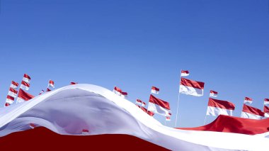 Endonezya bayrağı, Merah Putih Endonezya bağımsızlık gününde