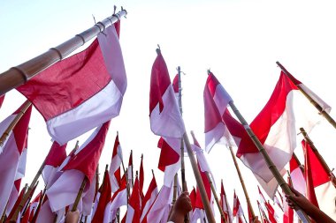 Endonezya bayrağı, Merah Putih Endonezya bağımsızlık gününde