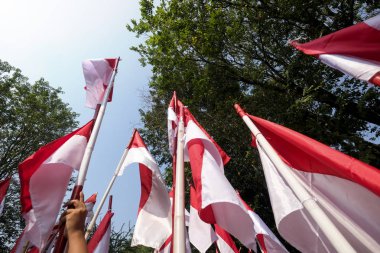 Endonezya bayrağı, Merah Putih Endonezya bağımsızlık gününde