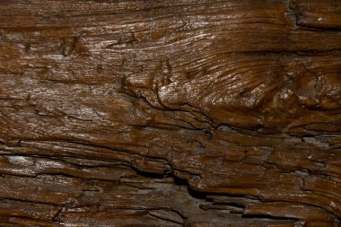 Kahverengi ahşap doku, ahşap arka planlar