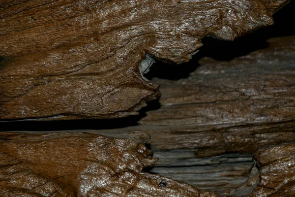 Braune Holzstruktur Holzhintergründe — Stockfoto