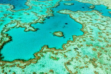 Aerial of Heart Reef, Hardy Lagoon in the Great Barrier Reef of the Whitsundays, clipart