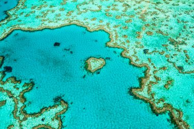 Hardy Reef, Heart Reef from the air clipart