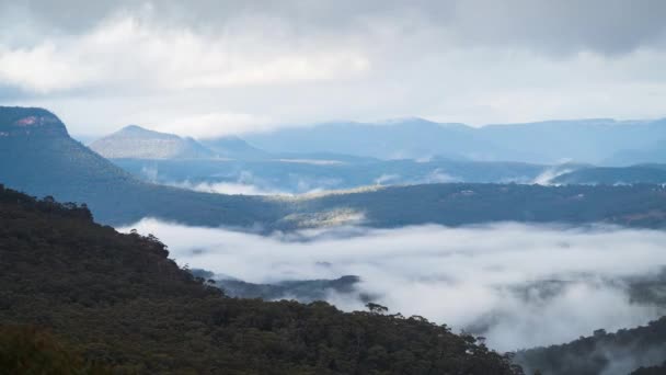 Timelapse Niebla Matutina Arremolinándose Valle Las Montañas Azules Megalong Valley — Vídeos de Stock