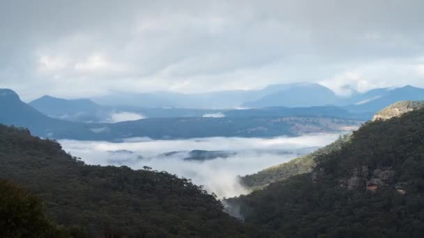Timelapse Nubes Niebla Moviéndose Valle Las Montañas Azules Megalong Valley — Vídeos de Stock