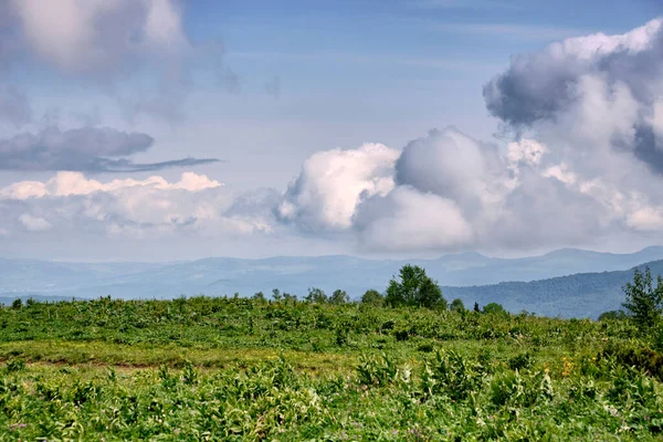 mountain landscapes forests in the clouds