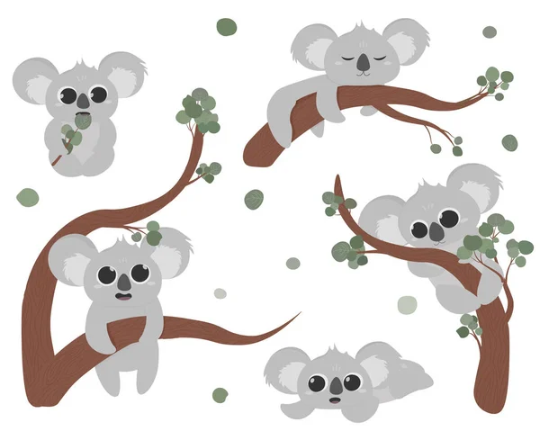 Set Van Schattige Koala Karakter Opknoping Eucalyptus Kawaii Baby — Stockvector