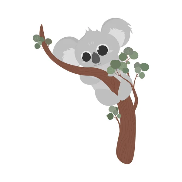 Schattige Koala Hangt Een Tak Grappige Stripfiguur Witte Achtergrond — Stockvector