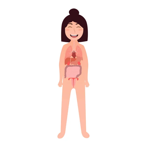 Dessin animé fille corps anotomie illustration - organes intérieurs poumons, foie, estomac, utérus, cœur, intensif — Image vectorielle