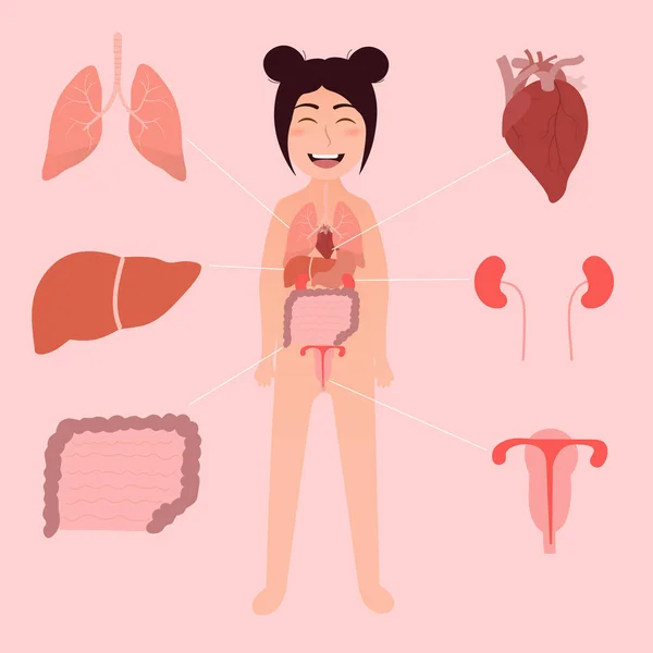 学校での科学教育のための少女内部器官のインフォグラフィック図,人体解剖学 — ストックベクタ