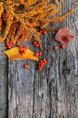 Eski ahşap arka plan üzerinde sarı çiçek, ashberry ve düşmüş yapraklarısonbahar deseni
