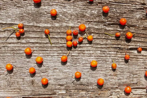 旧木背景上的灰莓秋季图案 — 图库照片