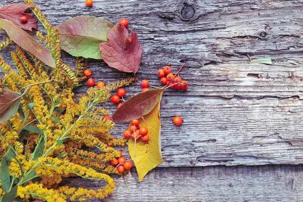 黄花、灰莓和旧木背景上落叶的秋花图案 — 图库照片