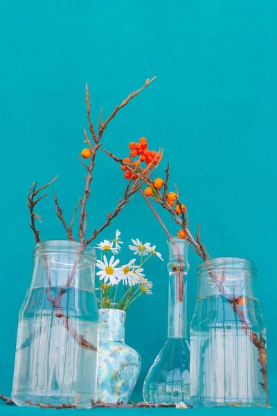 Bayas rojas, manzanilla y ramas sin hojas en frascos de vidrio sobre fondo de saco — Foto de Stock