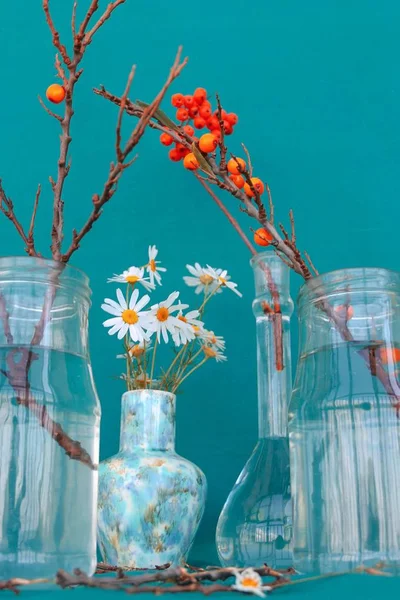 Red berry, chamomile and branches without leaves in glass jars on sackcloth background — Stock Photo, Image