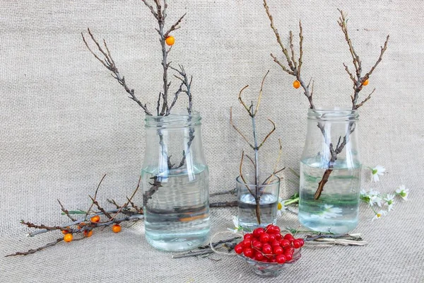 Red berry and branches without leaves in glass jars on sackcloth background