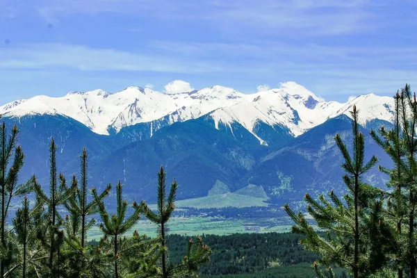 Bulgaria, Pirin Mountain National Park. Pemandangan tampilan panorama — Stok Foto