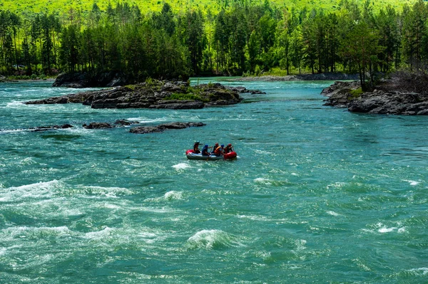 Rafting on the mountain river Katun, Altai Republic — Stok Foto