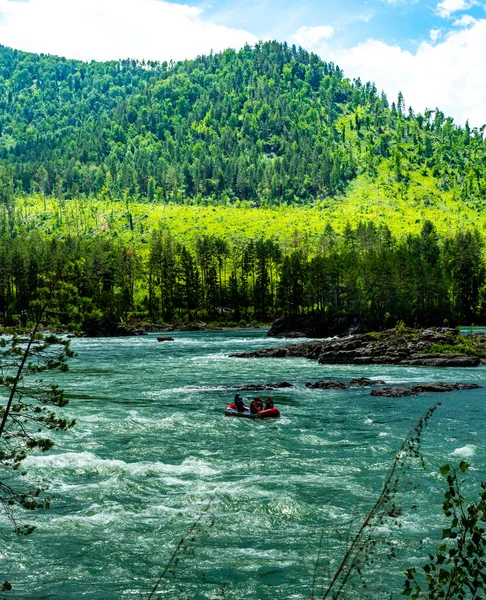 Rafting Mountain River Katun Altai Republic — Stock Photo, Image