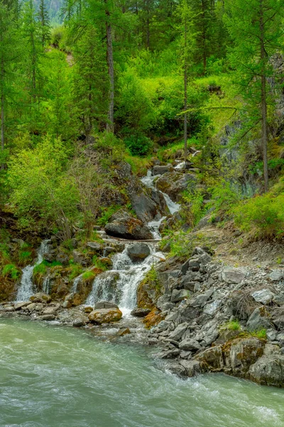 Burzliwa górska rzeka płynąca wzdłuż górskiej doliny — Zdjęcie stockowe