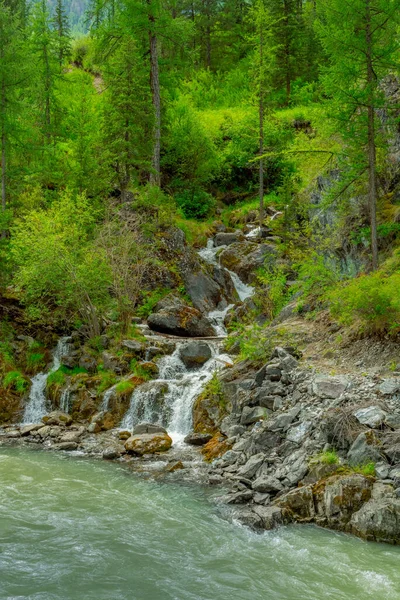 Stürmischer Gebirgsfluss, der durch ein Gebirgstal fließt — Stockfoto