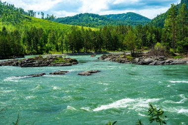 Altai Cumhuriyeti 'ndeki Katun Dağı' nda rafting.
