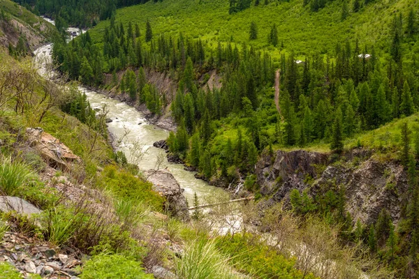 The Mazhoy cascade on the Chuya River - the venue for rafting competitions — Stock Photo, Image