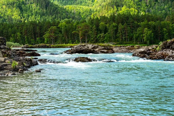 Stormy mountain river flowing along a mountain valley — Stock Photo, Image