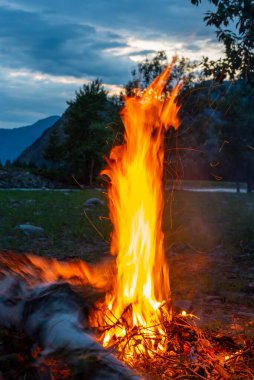 Huş ağacı odun ateşi. Gün batımında dağlarda kamp yapmak.