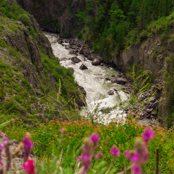 Chuya Folyó Egy Szűk Kanyonban Mazhoy Cascade Altai Szibéria Oroszország — Stock Fotó