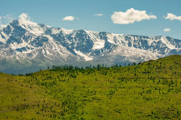 Önünde Ağaçlar Olan Karla Kaplı Kayalık Dağların Geniş Bir Kesiminin — Stok fotoğraf