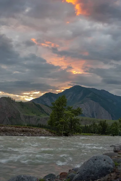 Sunset in the Altay mountains. The shore of the Chuya River, near the village of Chibit. — Stock Photo, Image