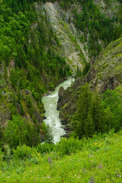 The Chuya River in a narrow canyon - Mazhoy Cascade. Altai, Siberia, Russia. — Stock Photo, Image