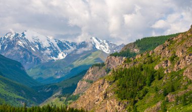 Önünde ağaçlar olan karla kaplı kayalık dağların geniş bir kesiminin manzarası