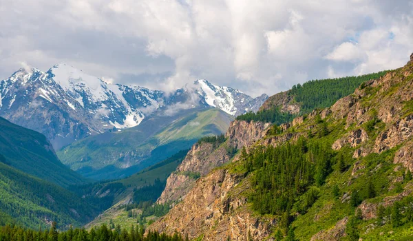 Wide view of a section of the snow-capped rocky mountains with trees in the foreground — Stock Photo, Image
