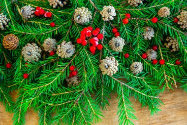 Noel köknar dalları koni ve böğürtlen ile